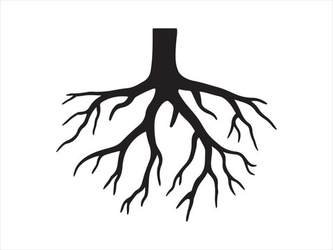 Tree root silhouette, Tree root icon, Root logo icon design vector illustration 
