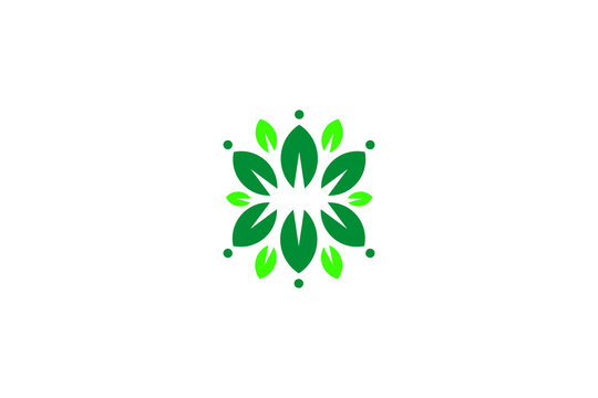 Leaf ornament logo with natural green vector design style