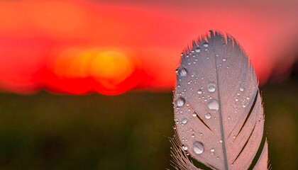 A snowflake resting on a pine needle