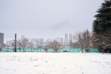 東京・積雪　中野区から新宿高層ビルを望む　Feb.2026 © oka