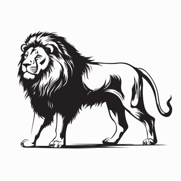 Wild Lion Standing Proud Vector Illustration Nature Artwork