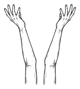 Outstretched hands and arms reaching up in a pleading or welcoming gesture, ideal for spiritual concepts, emotional expression, or human connection visuals across various media.