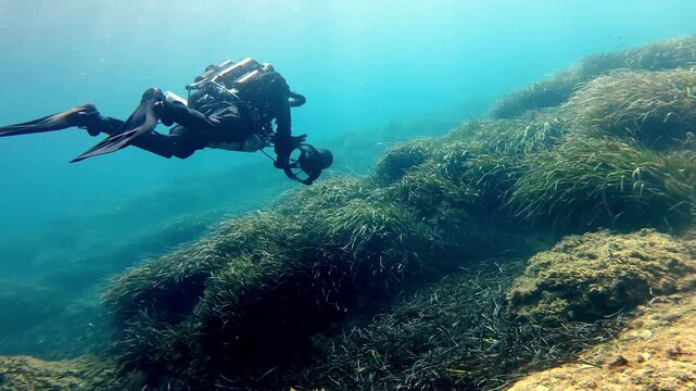 Professional technical diver wearing black gear exploring vibrant green seagrass and rocky reef under clear blue sunny sky during summer in Mediterranean sea captured from low wide camera angle