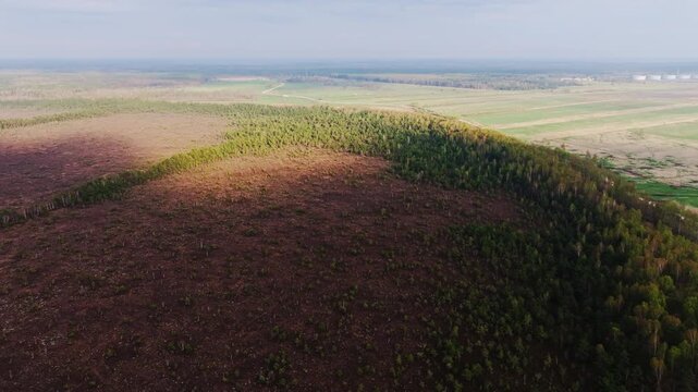 Radiant beam crossing peatland after dim days symbolizing renewal, Nida Bog