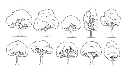 Architectural minimal CAD tree side view line drawing vector symbol set for landscape and urban design isolated on white