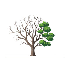 Obraz premium Half Dead, Half Alive Tree Symbolizing Change, Growth, and Resilience