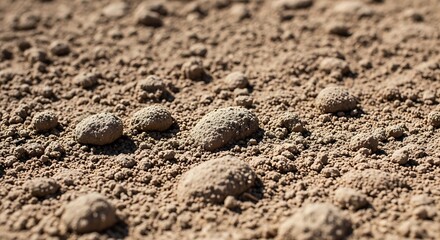 A close-up view of dry, cracked earth with small mounds