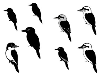 Kookaburra Silhouettes