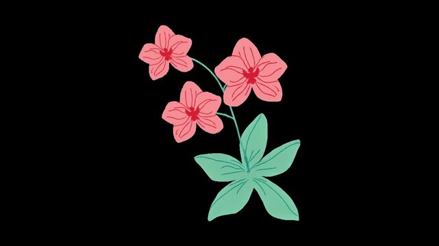 Minimalist Pink Botanical Illustration Blooming Flowers and Buds