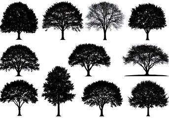 Twelve Silhouettes of Shade