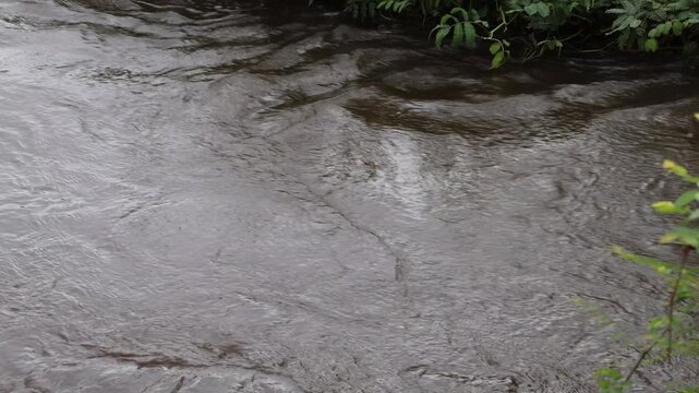 Transparent brown river water texture flowing smoothly downstream