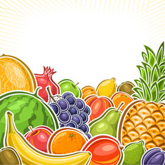 Vector illustration of Fruits