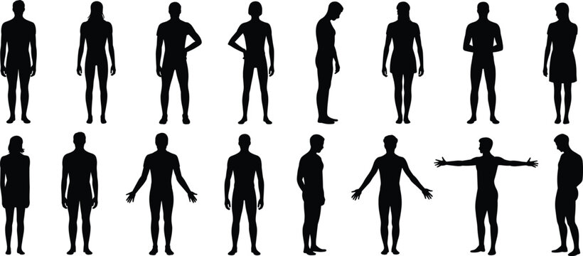 Human body silhouettes collection, male and female standing figures isolated black shadow people set for design