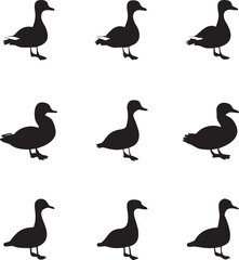 Obraz premium set of ducks