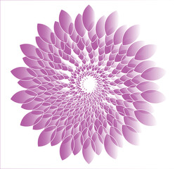 Vibrant purple 3D vector flower isolated on white background seamless design