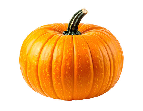 High quality fresh whole pumpkin yellow isolated on white background for food design, agriculture content, seasonal marketing, healthy nutrition, cooking concepts, and commercial advertising use.