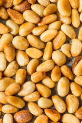 Obraz premium Organic Cooked Roasted Pine Nuts