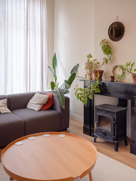 Interior of an apartment with a chimney, a wood burner and lots of plants. The chimney is original from 1916.