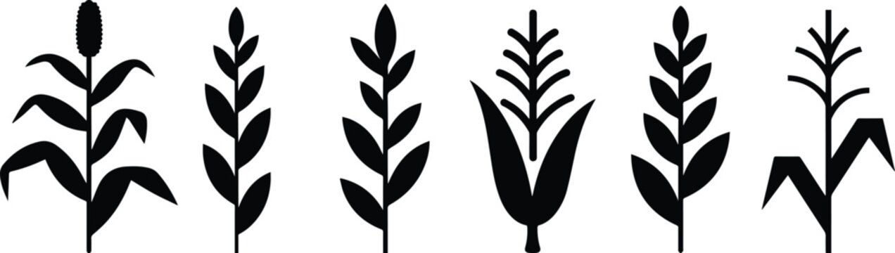 Set of Minimalist black small corn stalk silhouette vector icon