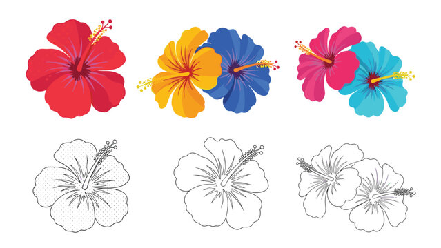 Collection of vibrant hibiscus flowers in red yellow blue and pink colors with detailed line art versions below.