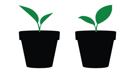 Two potted plants with vibrant green leaves a striking silhouette