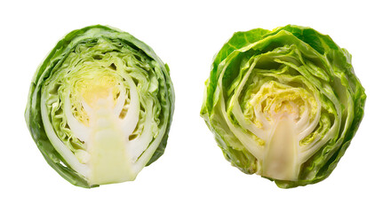 Fototapeta premium Fresh Chinese Cabbage Cut in Half Showing Crisp Leaves isolated on transparent background