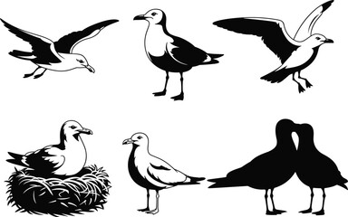Fototapeta premium Black and White Seagull Bird Vector Silhouette Set Featuring Flying Standing Nesting and Pair of Gull Icons for Coastal Marine Wildlife and Ocean Nature Design