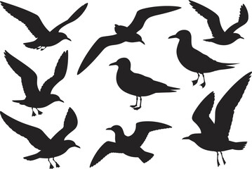 Fototapeta premium Bird silhouettes in flying and standing positions with diverse wing shapes for ornithology, wildlife, nature, and design themes