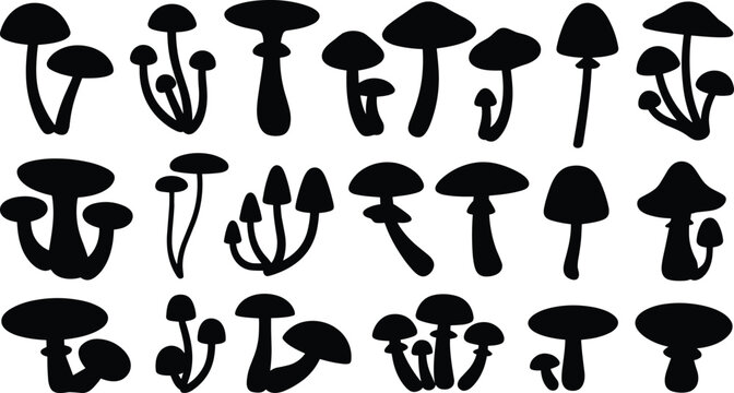 Collection of diverse mushroom silhouette illustrations showcasing unique cap shapes, stems, and clusters for fungi design inspiration