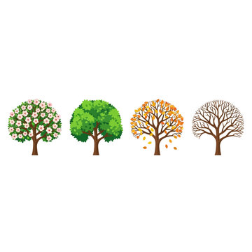Four Seasons Tree Cycle Illustration: Spring, Summer, Autumn, Winter