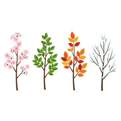 Obraz premium Four Seasons Trees: Spring Blossom, Summer Green, Autumn Colors, Winter Snow