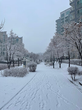 눈내리는 우리마을