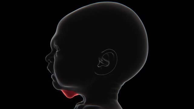 X-Ray video of Thyroglossal duct cyst in baby |Thyroglossal duct cyst Video in X-Ray |Thyroglossal duct cyst indication video in HD format