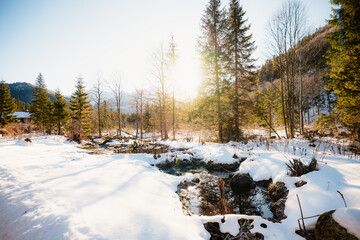 Mountain view with hiking path in Javorova dolina nature reserve during a winter sunny day in Slovakia in High Tatras mountains © Zedspider