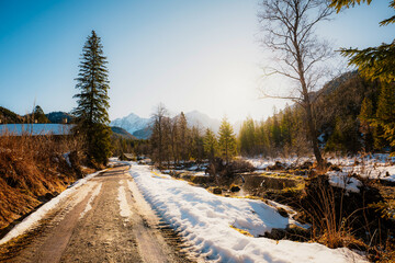 Mountain view with hiking path in Javorova dolina nature reserve during a winter sunny day in Slovakia in High Tatras mountains © Zedspider