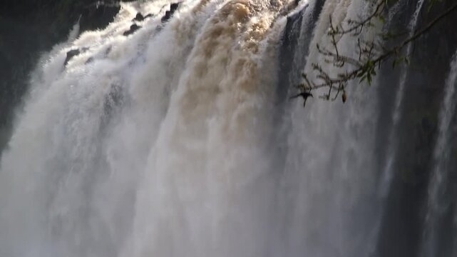 Powerful wide view of Tis Issat Falls (Blue Nile Falls) on the Blue Nile River in Ethiopia, source of the Nile, cascading white water surrounded by green vegetation. Tilt down.