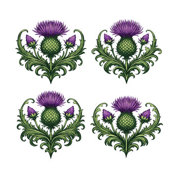 Scottish thistle icon set, 4 elements. Includes purple thistle, green leaves, floral designs. Created in vector style with green and purple palette.