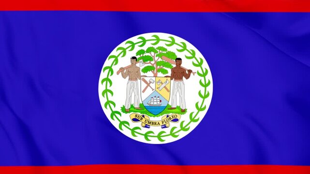 Belize flag waving animation with central design