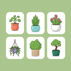 Set of cute indoor potted plants and succulents in various decorative ceramic pots collection isolated on white background flat vector illustration for gardening home decor and nature lovers