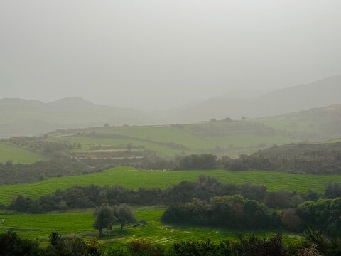 Green fields in morning fog along the Polis&ndash;Prodromos road, Cyprus, with soft light, rural landscape and misty hills creating a peaceful atmospheric view