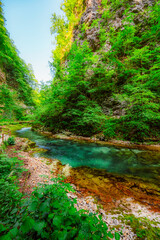 Obraz premium Wooden walkway through the Vintgar gorge near Bled lake in Slovenia, breathtaking views of the Radovna river