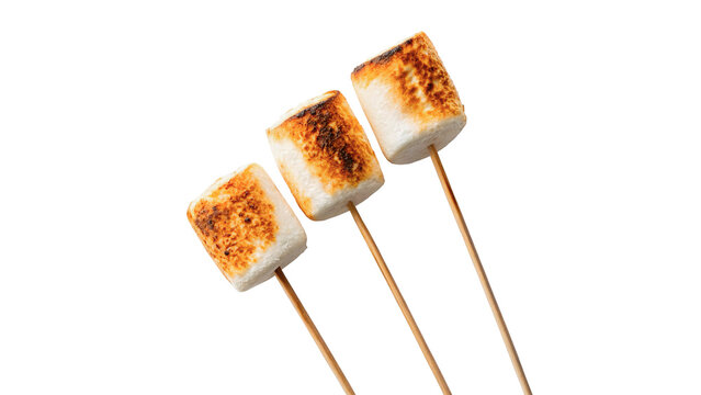 Marshmallows roasting on sticks for a camping activity  isolated on transparent background cut out
