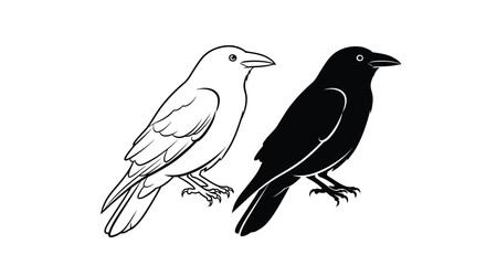 Obraz premium A pair of majestic crows depicted as a striking black silhouette and a detailed line art illustration, offering versatile graphic elements for various design projects and digital media.