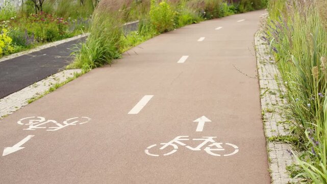 A paved bicycle path winds through a city park, lined with a natural flower bed featuring wild grasses and blooming plants on a sunny day.