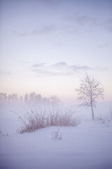 Misty winter landscape with soft pastel light
