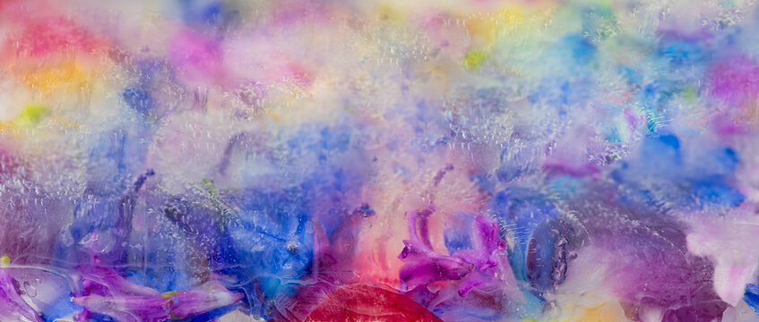 vibrant frozen spring flower abstraction background with hyacinth, delphinium and orchid