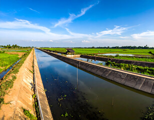 Long concrete irrigation canal reflecting the blue sky and surrounded by lush green rice fields