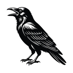 Screaming Crow Bird Vector Illustration Detailed Flat Style Vector
