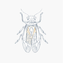 Contemporary bug illustration showcasing geometric patterns and a striking orange accent on a clean background