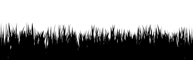 Fototapeta premium Meadow silhouette with grass, plants on plain. Panoramic summer lawn landscape with herbs, various weeds. Herbal border, frame element. Black horizontal banners. Vector illustration